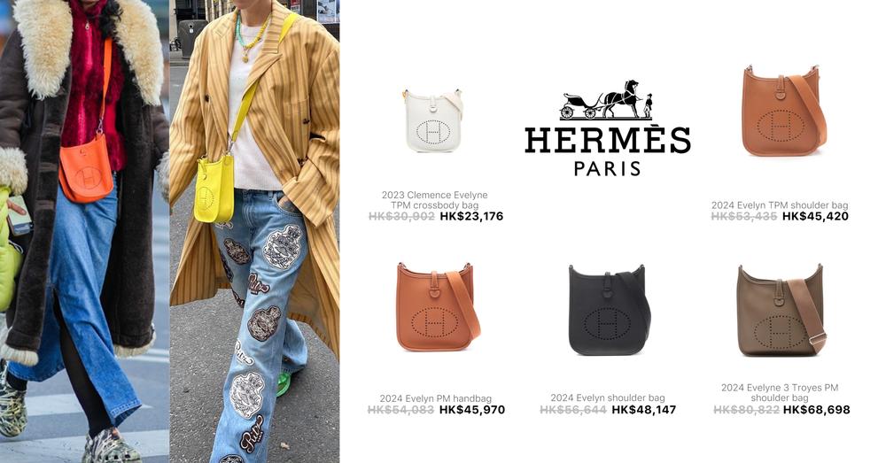 HERMÈS PRE-OWNED EVELYNE BAGS | Goxip